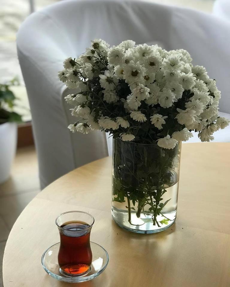 Hotel Doro Burgas Bagian luar foto
